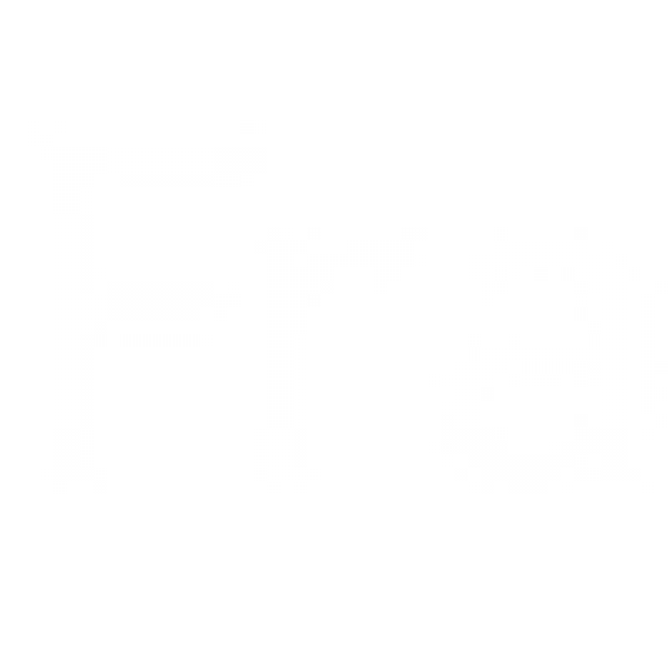Fractal - Business Model Logo
